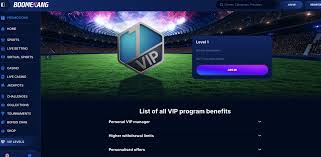 Avis sur Nine Casino France: Bonus Exclusifs et Service Reglemente